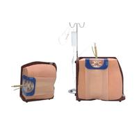Lumbar Puncture Simulator - Adult Spine Training Model for Spinal and Epidural Anesthesia Clinical Training
