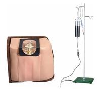 Lumbar Puncture Training Model, Adult Spine Puncture Simulator for Spinal & Epidural Anesthesia Clinical Practice