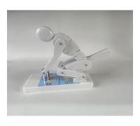 Lumbar Spine Protection Model - Correct Lifting & Bending Demonstrator for Safe Waist Training during Fitness Exercise