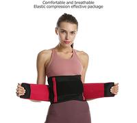 Lumbar Support Belt Relief For Back Pain, Herniated Disc, Sciatica, Scoliosis Breathable Mesh Design Adjustable Support Straps Lower Back Brace Corrector