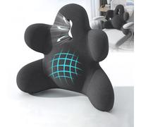 Lumbar Support Pillow for Office Chair, Back Support Pillow for Car, Chair