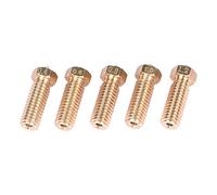 LuminaCreek 10PCS 3D Printer Brass Nozzle M6 Extruder Nozzle 0.4/0.6/0.8/1.0/1.2mm for 1.75/3mm Filament for 3D Printer Parts(3 06)