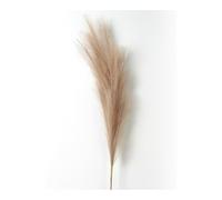 LuminaCreek Pampas Grass Large 1Pcs Faux Pampas Grass Decor Plume Artificial Phragmites Australis Vase Decorations Fake Reeds Plants Everlasting Flowers(Brown,90CM)