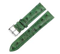 LuminaCreek Universal Leather Watch Strap Ostrich Pattern Leather Watch Strap 12mm - 24mm Watch Replacement Accessories(Green Silver B,23mm)