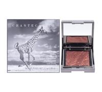 Luminescent Eye Shade - Giraffe Chantecaille - 0.08 oz Eye Shadow