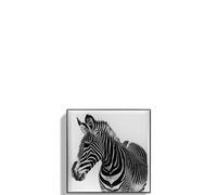 Luminescent Eye - Zebra