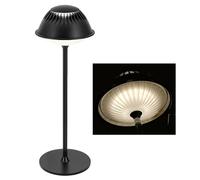LuminexDesigns LED Modern Rechargeable Table Lamp, Black VIOA TL14