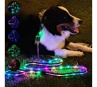 Luminoid LED Dog Leash | 6 ft | USB Rechargeable | 12 Multi-Color Animated Effects | Ultra-Bright LEDs Make Pets Visible and Safe for Night Walking - by Glowy Zoey
