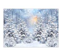 Luminora 7x5ft Blue Winter Snow Scene Pine Forest Backdrop Snowflakes Setting Sun Morning Mist Background Snowscape Path Christmas Decoration Photo Banner Props