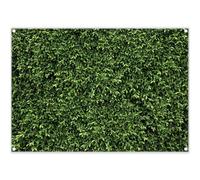 Luminora Fabric 2D Digital Print 7x5ft Green Leaves Photography Background Spring Nature Wall Backdrop Birthday Newborn Wedding Party Decoration Portrait Photo Banner Booth