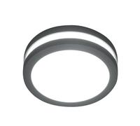 Luminosa Lighting Elstead Ano 1 Light Outdoor Wall / Ceiling Lantern Light Graphite Ip54