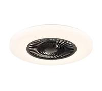 Luminosa Lighting Luminosa Alva Ceiling Fan Black 1X Rgb Led Dimmable 3000-6500K Remote Control Timer