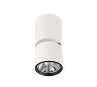 Luminosa Lighting Luminosa Boniva Modern Surface Mounted Downlight Led, 3000K