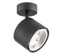 Luminosa Lighting Luminosa Clevland Single Spotlight Black Structure