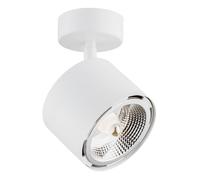 Luminosa Lighting Luminosa Clevland Single Spotlight White Structure