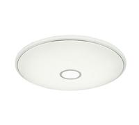 Luminosa Lighting Luminosa Connor 79Cm Flush Ceiling Light White Led Dimmable 2700-6500K Remote Control Timer