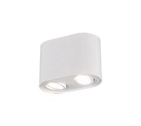 Luminosa Lighting Luminosa Cookie Modern 2 Light Surface Mounted Downlight White Matt - Uk Stock
