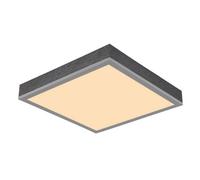 Luminosa Lighting Luminosa Doro 30Cm Flush Ceiling Light Silver Colored Led 3000K