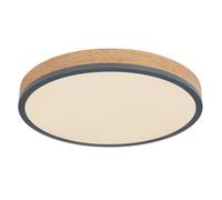 Luminosa Lighting Luminosa Doro 45Cm Flush Ceiling Light Graphite Led Dimmable 2700-6500K Remote Control Timer