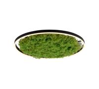 Luminosa Lighting Luminosa Green Ritu Integrated Led Semi Flush Ceiling Light Moss 1X 28W Led 3000K Dimmable