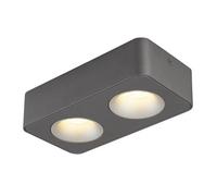 Luminosa Lighting Luminosa Hangarau Twin Ceiling Spotlight Grey Dark Led 3000K