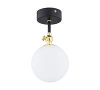 Luminosa Lighting Luminosa Latina Globe Ceiling Light Black Structure, Brass Steel Ip44