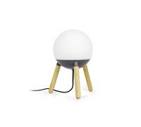 Luminosa Lighting Luminosa Mine Table Lamps Globe Table Lamp Grey, E27
