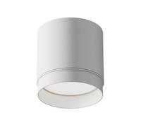 Luminosa Lighting Luminosa Polar Surface Mounted Downlight White 1Xgx53