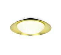 Side Led Black Gold Ceiling Lamp 20W Netlighting Black One Size