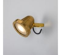 Luminosa Lighting Luminosa Thames Outdoor Outdoor Spotlight, Raw Brass, Ip64