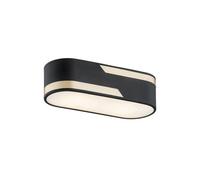 Luminosa Lighting Luminosa Toni Surface Mounted Downlight Milky, Black Structure With Gold Strip 30Cm