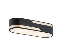 Luminosa Lighting Luminosa Toni Surface Mounted Downlight Milky, Black Structure With Gold Strip 50Cm