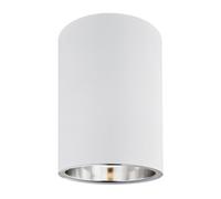 Luminosa Lighting Luminosa Tyber1 Surface Mounted Downlight White Structure
