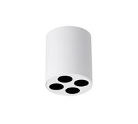 Luminosa Lighting Luminosa Zoe Round Minimalistic Surface Mounted Downlight White