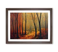 Luminous Autumn Forest H1022 Framed Print for Living Room Bedroom Home Office Décor, Wall Art Picture Ready to Hang, Walnut A4 Frame (34 x 25 cm)