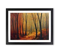 Luminous Autumn Forest H1022 Framed Print for Living Room Bedroom Home Office Décor, Wall Art Picture Ready to Hang, Black A2 Frame (64 x 46 cm)