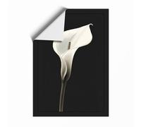 Luminous Calla Lily Botanical Unframed Wall Art Print A1 (84.1×59.4cm), Wall Decor for Living Room, Bedroom, Office & Home, Art Gift