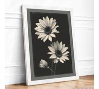 Luminous Daisies Botanical Framed Wall Art Print A4 White