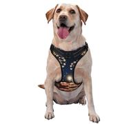 Luminous Dandelion Seeds Premium Dog Harness for Small, Medium, and Large Dogs - Durable, No Pull with Reflective Straps and Quick Release BucklesSmall