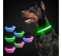 Luminous Dog Collar, USB-C Rechargeable Reflective Glow in the Dark Dog Collar with 7 Lighting Modes for Night Safety (Grey, Medium)