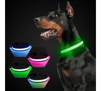 Luminous Dog Collar, USB-C Rechargeable Reflective Glow in the Dark Dog Collar with 7 Lighting Modes for Night Safety (Grey, Small)