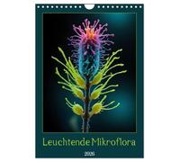 Luminous microflora UK-Version (Wall Calendar 2026 DIN A4 Portrait), CALVENDO 12 Month Wall Calendar