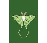 Luna Dreams: Notes from the Moon