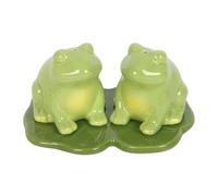Luna Frog Salt and Pepper Shakers | Cute Tableware Set