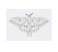 'Luna Moth' Temporary Tattoo - Water Resistant, Skin-Safe, Non-Toxic Transfer (TO00080709)