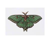 'Luna Moth' Temporary Tattoo - Water Resistant, Skin-Safe, Non-Toxic Transfer (TO00080711)
