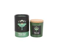 Luna Moth White Sage Candle KDMD Green One Size