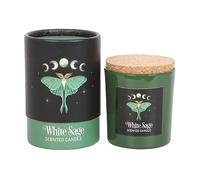Luna Moth White Sage Candle - Sacred Creatures in Dark Forest Realms | Vegan Paraffin Wax | 25-Hour Burn Time | Soothing Aromatherapy for Home Ambiance