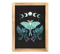Luna Moth Wooden Framed Wall Art