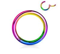 LunaLoop Nose Rings Hoop,316L Surgical Steel Hypoallergenic Septum Rings,20g 18g 16g 14g Gauge Helix Rook Piercing Jewelry Cartilage Hoop Earring for Women, 2pcs,16g,Diameter: 12mm, Stainless Steel